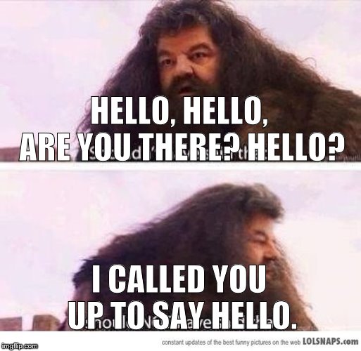 I shouldn't have said that | HELLO, HELLO, ARE YOU THERE? HELLO? I CALLED YOU UP TO SAY HELLO. | image tagged in i shouldn't have said that | made w/ Imgflip meme maker