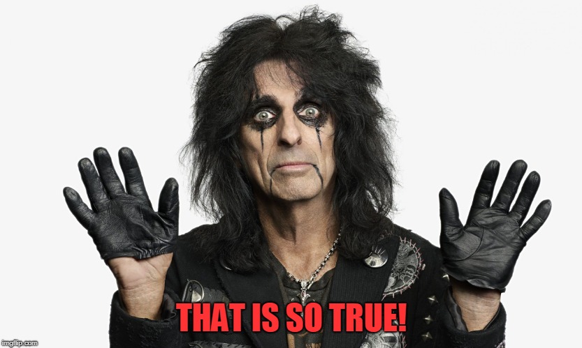 Alice Cooper | THAT IS SO TRUE! | image tagged in alice cooper | made w/ Imgflip meme maker