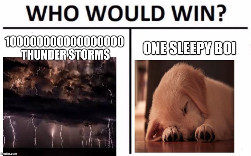 Who Would Win? Meme | 100000000000000000 THUNDER STORMS; ONE SLEEPY BOI | image tagged in memes,who would win | made w/ Imgflip meme maker