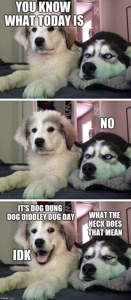 Bad pun dogs | YOU KNOW WHAT TODAY IS; NO; IT'S DOG DUNG DOG DIDDLEY DUG DAY; WHAT THE HECK DOES THAT MEAN; IDK | image tagged in bad pun dogs | made w/ Imgflip meme maker