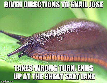 GIVEN DIRECTIONS TO SNAIL JOSE TAKES WRONG TURN, ENDS UP AT THE GREAT SALT LAKE | made w/ Imgflip meme maker