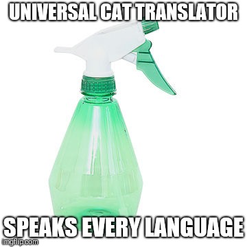 By nature | UNIVERSAL CAT TRANSLATOR; SPEAKS EVERY LANGUAGE | image tagged in funny cat | made w/ Imgflip meme maker