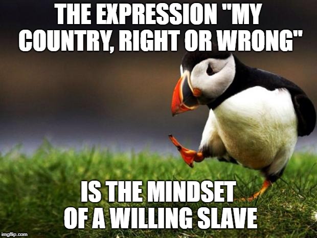Unpopular Opinion Puffin | THE EXPRESSION "MY COUNTRY, RIGHT OR WRONG"; IS THE MINDSET OF A WILLING SLAVE | image tagged in memes,unpopular opinion puffin | made w/ Imgflip meme maker