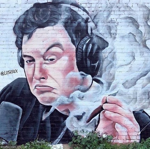 Elon Musk 420 Mural taken from @lushsux on Instagram | image tagged in elon musk,tesla,spacex,420 blaze it | made w/ Imgflip meme maker