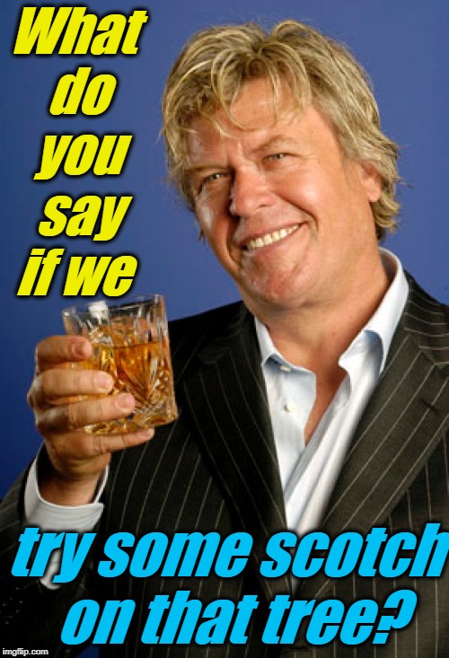 Ron White 2 | What do you say if we try some scotch on that tree? | image tagged in ron white 2 | made w/ Imgflip meme maker