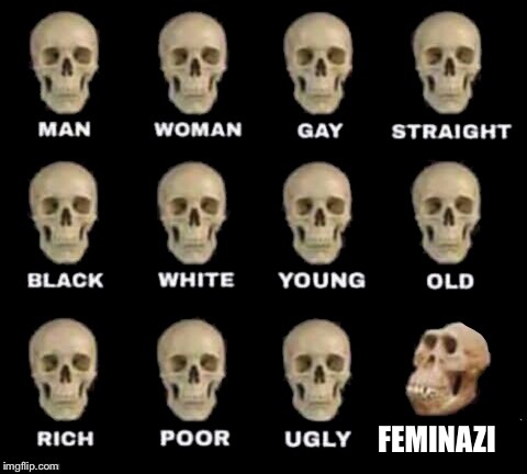 Feminazi skull is as big as their chances of making women dominate  | FEMINAZI | image tagged in idiot skull,memes,feminazi | made w/ Imgflip meme maker