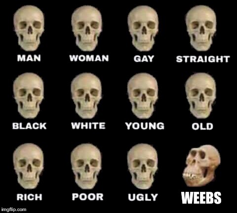 Weeb skull is as small as their brain | WEEBS | image tagged in man woman gay straight skull,memes,weebs | made w/ Imgflip meme maker