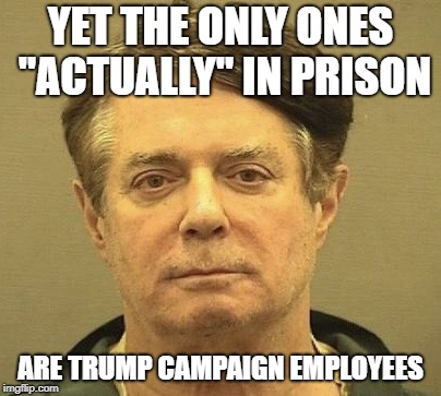 Manafort Mugshot | YET THE ONLY ONES "ACTUALLY" IN PRISON ARE TRUMP CAMPAIGN EMPLOYEES | image tagged in manafort mugshot | made w/ Imgflip meme maker