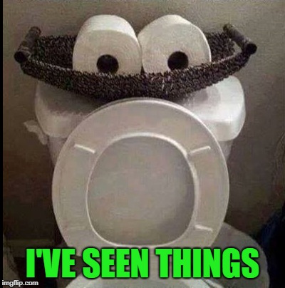 i've seen things | I'VE SEEN THINGS | image tagged in toilet paper,eyes | made w/ Imgflip meme maker