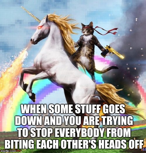 Me on the Internets (help me) | WHEN SOME STUFF GOES DOWN AND YOU ARE TRYING TO STOP EVERYBODY FROM BITING EACH OTHER'S HEADS OFF | image tagged in memes,welcome to the internets,funny,cats,social media | made w/ Imgflip meme maker