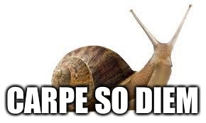 SNAIL | CARPE SO DIEM | image tagged in snail | made w/ Imgflip meme maker