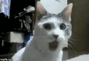 image tagged in gifs | made w/ Imgflip video-to-gif maker
