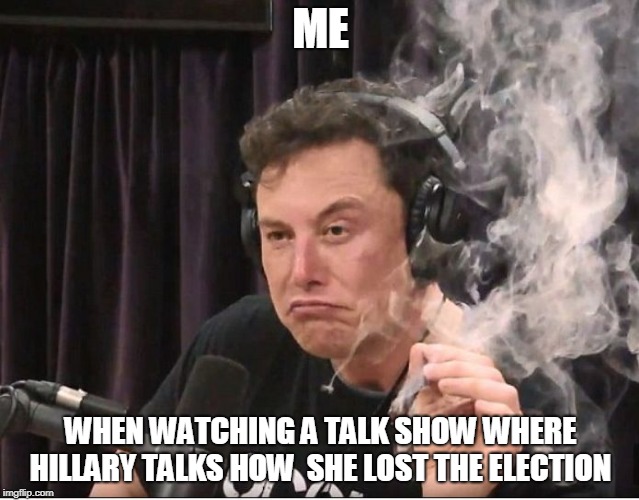 Elon Musk smoking a joint | ME; WHEN WATCHING A TALK SHOW WHERE HILLARY TALKS HOW  SHE LOST THE ELECTION | image tagged in elon musk smoking a joint | made w/ Imgflip meme maker