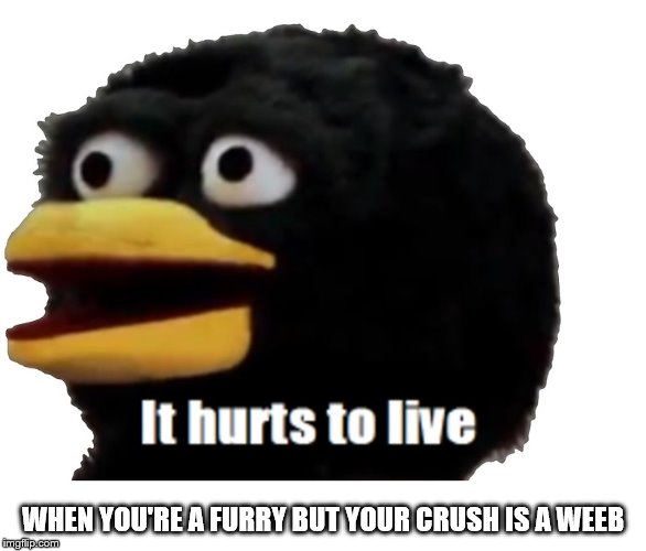 WHEN YOU'RE A FURRY BUT YOUR CRUSH IS A WEEB | made w/ Imgflip meme maker