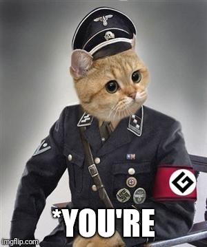 Grammar Nazi Cat | *YOU'RE | image tagged in grammar nazi cat | made w/ Imgflip meme maker