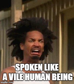 Disgusted Face | SPOKEN LIKE A VILE HUMAN BEING | image tagged in disgusted face | made w/ Imgflip meme maker