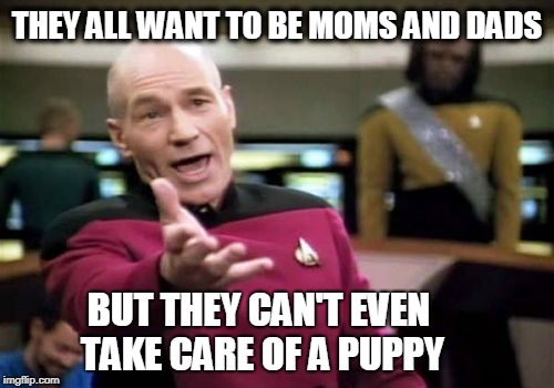 Picard Wtf Meme | THEY ALL WANT TO BE MOMS AND DADS; BUT THEY CAN'T EVEN TAKE CARE OF A PUPPY | image tagged in memes,picard wtf | made w/ Imgflip meme maker