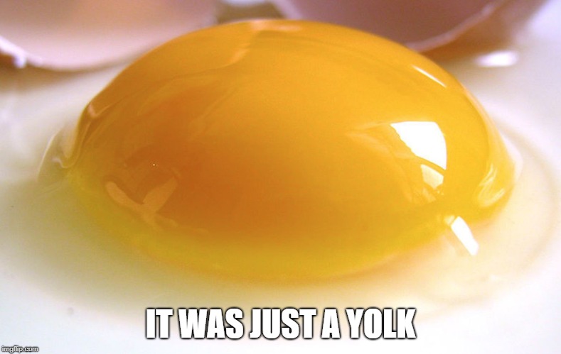 yolk | IT WAS JUST A YOLK | image tagged in yolk | made w/ Imgflip meme maker
