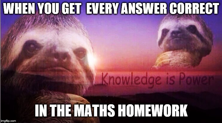 Sloth Knowledge is power | WHEN YOU GET  EVERY ANSWER CORRECT; IN THE MATHS HOMEWORK | image tagged in sloth knowledge is power | made w/ Imgflip meme maker