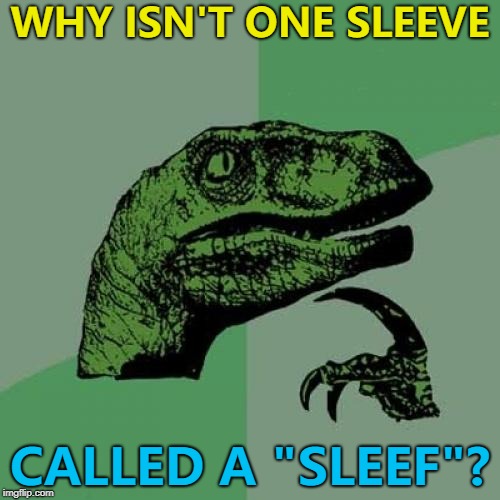 Sleef - sleeves... :) | WHY ISN'T ONE SLEEVE; CALLED A "SLEEF"? | image tagged in memes,philosoraptor,sleeves,sleef,clothes | made w/ Imgflip meme maker