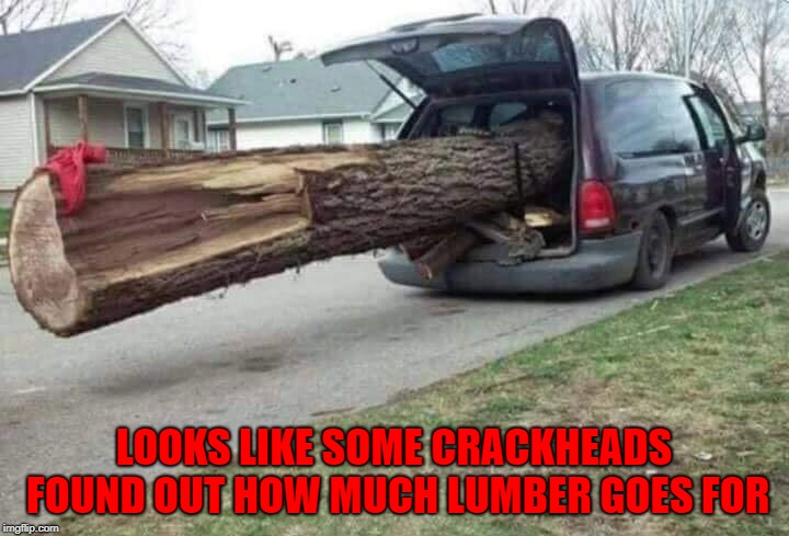Where there's a will, there's a way!!! | LOOKS LIKE SOME CRACKHEADS FOUND OUT HOW MUCH LUMBER GOES FOR | image tagged in crackheads,memes,overloaded,funny,stupidity | made w/ Imgflip meme maker