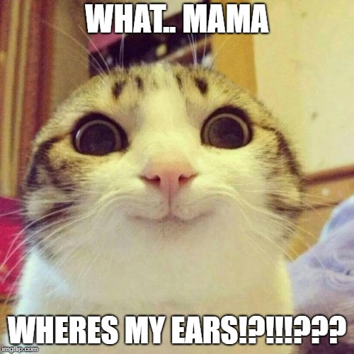Smiling Cat | WHAT.. MAMA; WHERES MY EARS!?!!!??? | image tagged in memes,smiling cat | made w/ Imgflip meme maker