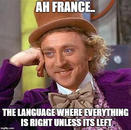 Creepy Condescending Wonka Meme | AH FRANCE.. THE LANGUAGE WHERE EVERYTHING IS RIGHT UNLESS ITS LEFT | image tagged in memes,creepy condescending wonka | made w/ Imgflip meme maker