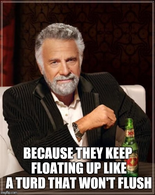 The Most Interesting Man In The World Meme | BECAUSE THEY KEEP FLOATING UP LIKE A TURD THAT WON'T FLUSH | image tagged in memes,the most interesting man in the world | made w/ Imgflip meme maker