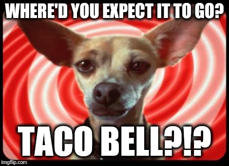 taco bell dog | WHERE'D YOU EXPECT IT TO GO? TACO BELL?!? | image tagged in taco bell dog | made w/ Imgflip meme maker