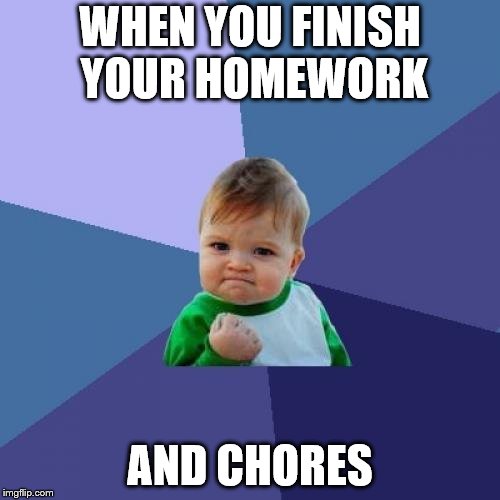 Success Kid Meme | WHEN YOU FINISH YOUR HOMEWORK; AND CHORES | image tagged in memes,success kid | made w/ Imgflip meme maker