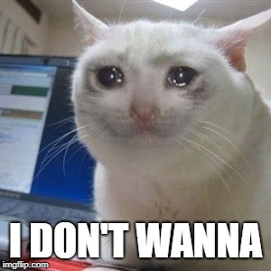 Crying cat | I DON'T WANNA | image tagged in crying cat | made w/ Imgflip meme maker