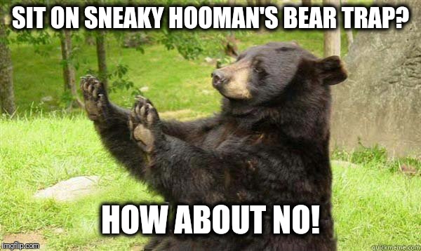 How about no bear without text | SIT ON SNEAKY HOOMAN'S BEAR TRAP? HOW ABOUT NO! | image tagged in how about no bear without text | made w/ Imgflip meme maker