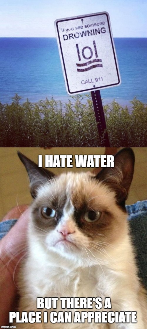 Drowning! lol | I HATE WATER; BUT THERE'S A PLACE I CAN APPRECIATE | image tagged in memes,grumpy cat,caution sign | made w/ Imgflip meme maker