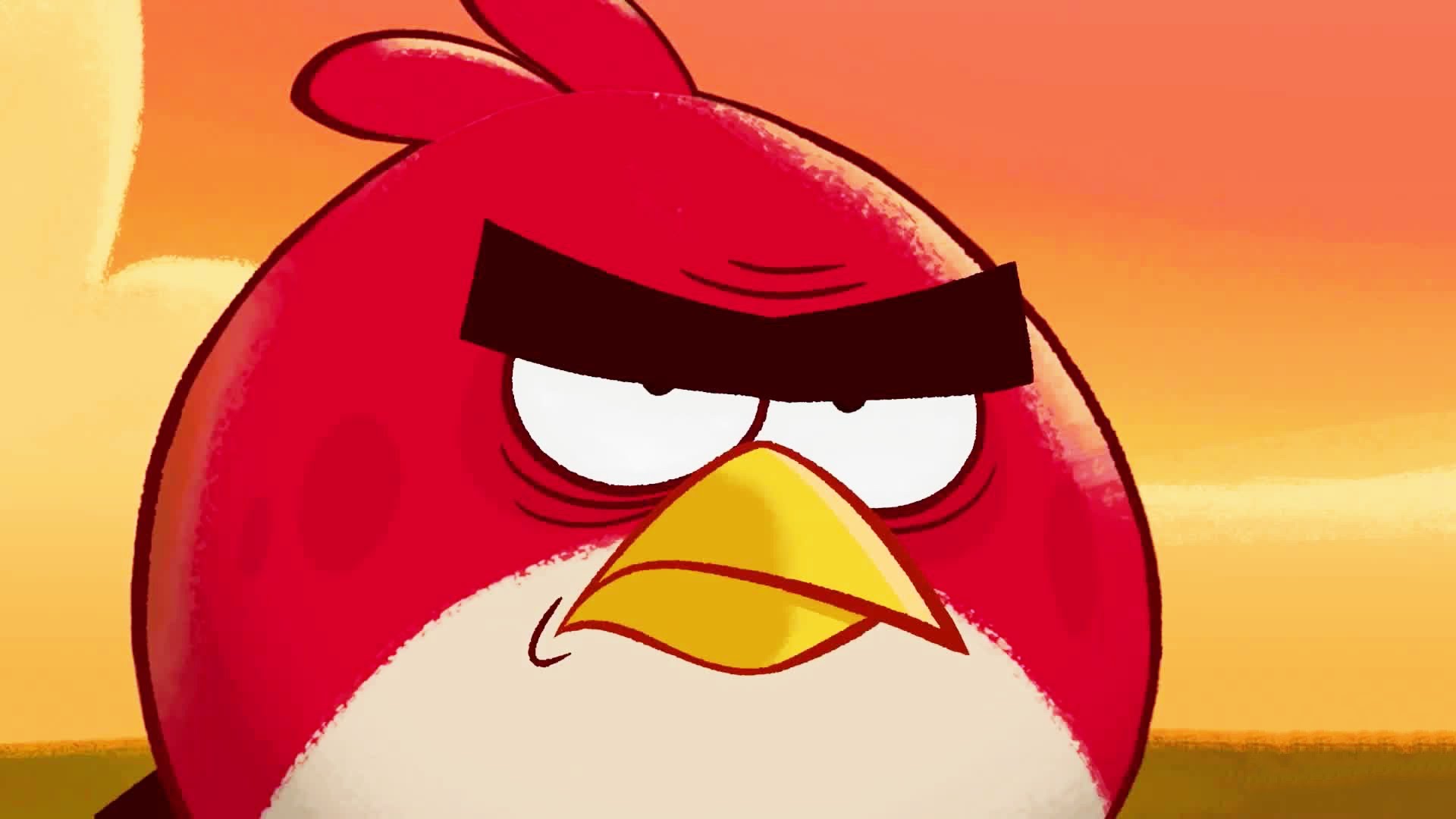 High Quality Red Bird Annoyed Blank Meme Template