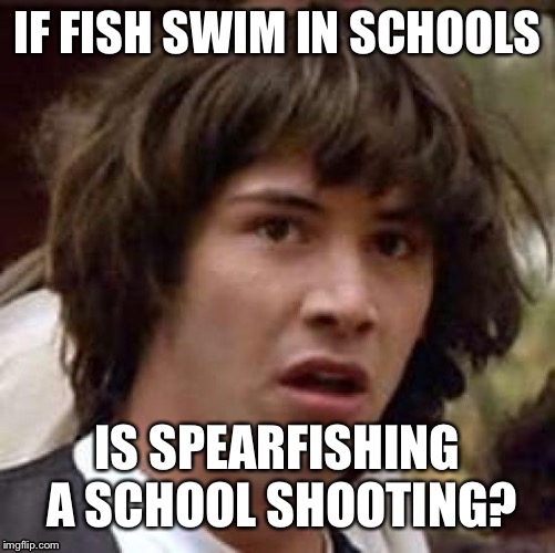 Revised edition  | IF FISH SWIM IN SCHOOLS; IS SPEARFISHING A SCHOOL SHOOTING? | image tagged in memes,conspiracy keanu | made w/ Imgflip meme maker