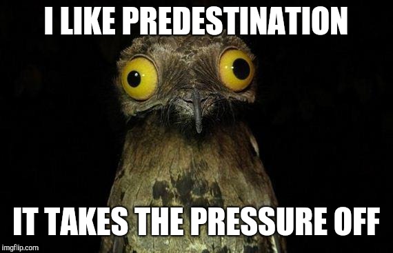 Weird Stuff I Do Potoo Meme | I LIKE PREDESTINATION; IT TAKES THE PRESSURE OFF | image tagged in memes,weird stuff i do potoo | made w/ Imgflip meme maker