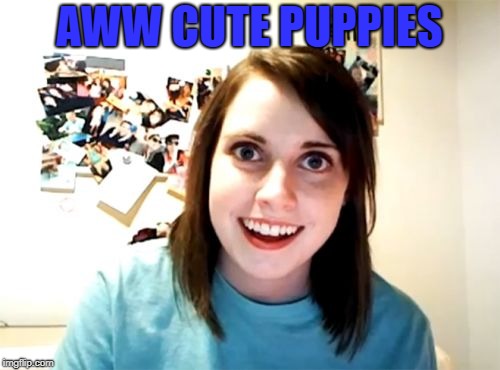Overly Attached Girlfriend Meme | AWW CUTE PUPPIES | image tagged in memes,overly attached girlfriend | made w/ Imgflip meme maker