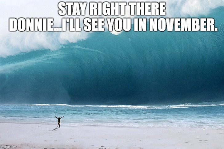tsunami | STAY RIGHT THERE DONNIE...I'LL SEE YOU IN NOVEMBER. | image tagged in tsunami | made w/ Imgflip meme maker