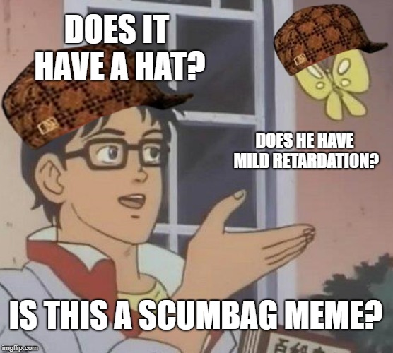 Retardation is in the air. | DOES IT HAVE A HAT? DOES HE HAVE MILD RETARDATION? IS THIS A SCUMBAG MEME? | image tagged in memes,is this a pigeon,scumbag,mild retardation | made w/ Imgflip meme maker