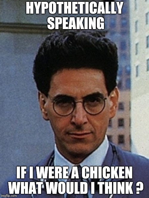 Egon Spengler | HYPOTHETICALLY SPEAKING IF I WERE A CHICKEN WHAT WOULD I THINK ? | image tagged in egon spengler | made w/ Imgflip meme maker