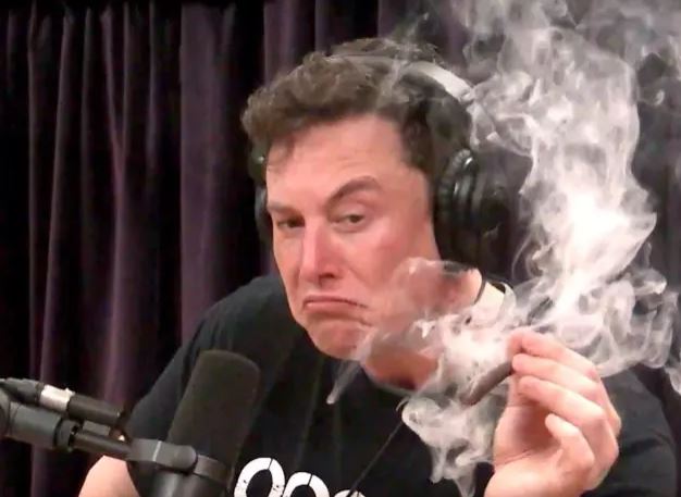Elon Smoking Weedo Blank Meme Template