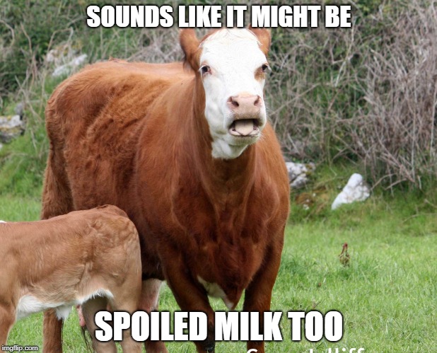 SOUNDS LIKE IT MIGHT BE SPOILED MILK TOO | made w/ Imgflip meme maker