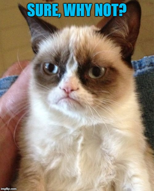 Grumpy Cat Meme | SURE, WHY NOT? | image tagged in memes,grumpy cat | made w/ Imgflip meme maker