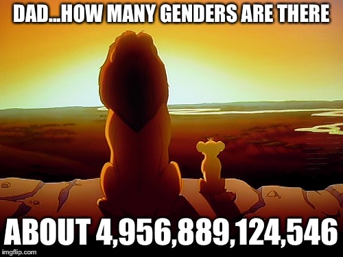 Lion King Meme | DAD...HOW MANY GENDERS ARE THERE; ABOUT 4,956,889,124,546 | image tagged in memes,lion king | made w/ Imgflip meme maker