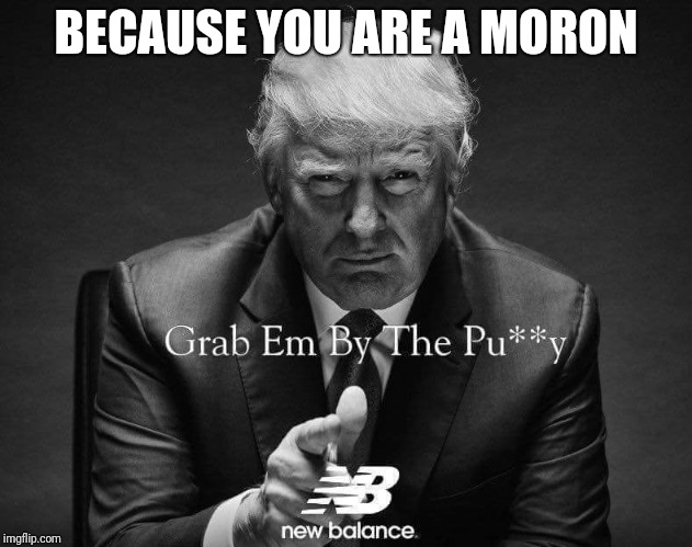 Donald trump's impeachment  | BECAUSE YOU ARE A MORON | image tagged in tea party | made w/ Imgflip meme maker
