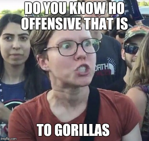 Triggered feminist | DO YOU KNOW HO OFFENSIVE THAT IS TO GORILLAS | image tagged in triggered feminist | made w/ Imgflip meme maker