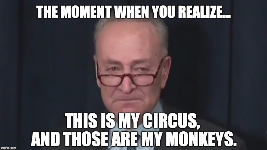 It's just now dawning on the Democrats how hard they are screwed. | THE MOMENT WHEN YOU REALIZE... THIS IS MY CIRCUS, AND THOSE ARE MY MONKEYS. | image tagged in 2018,mid-term elections,democrats,poo-flinging,monkeys | made w/ Imgflip meme maker