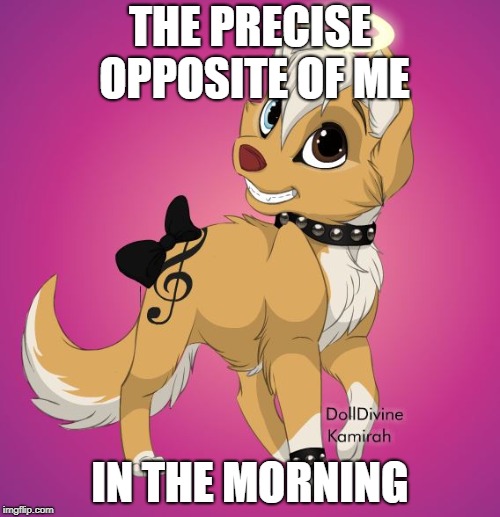 Mornings for Me | THE PRECISE OPPOSITE OF ME; IN THE MORNING | image tagged in morning,dog,puppy,opposite,me in the morning | made w/ Imgflip meme maker