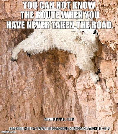 mountain goat | YOU CAN NOT KNOW THE ROUTE WHEN YOU HAVE NEVER TAKEN THE ROAD. MICHELLE BELL, 1 LIFE COACHING
HTTPS://WWW.LIFECOACHHUB.COM/COACH/MICHELLE-BELL | image tagged in mountain goat | made w/ Imgflip meme maker