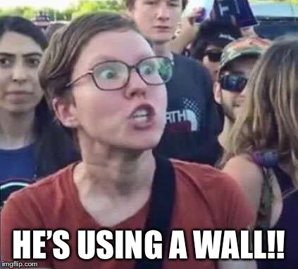 Angry Liberal | HE’S USING A WALL!! | image tagged in angry liberal | made w/ Imgflip meme maker